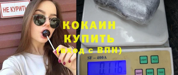 крисы Пересвет