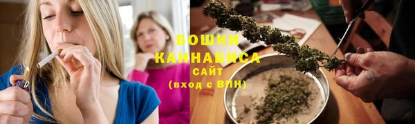 индика Козловка