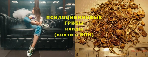 крисы Пестово