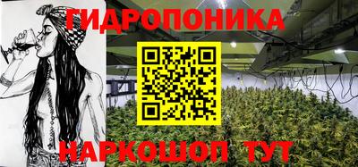 ГАЛЛЮЦИНОГЕННЫЕ ГРИБЫ Беслан