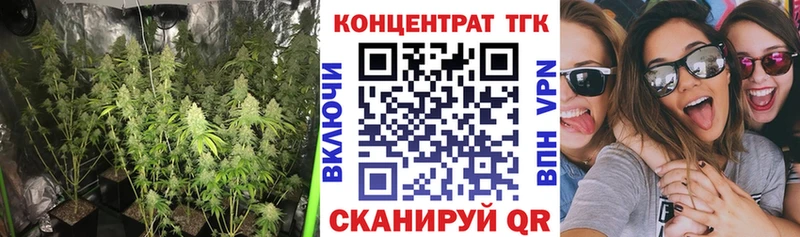 Дистиллят ТГК концентрат  где можно купить наркотик  Вольск 