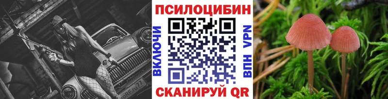 Псилоцибиновые грибы ЛСД  магазин продажи наркотиков  Вольск 
