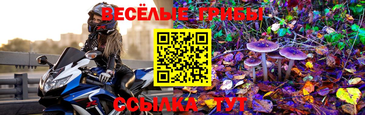 Псилоцибиновые грибы прущие грибы Вольск
